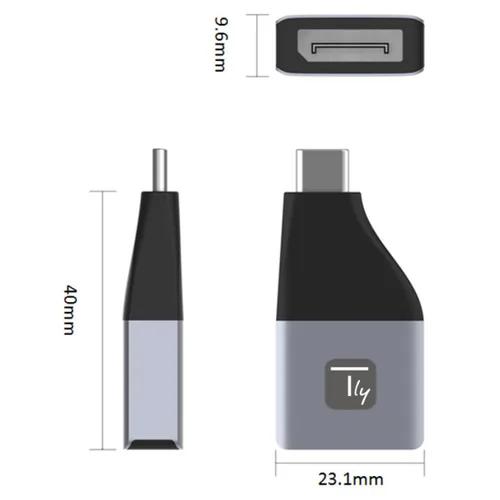Techly Adapter DisplayPort F 1.2 auf USB-C M