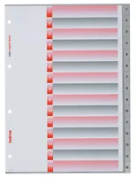KOLMA Register LongLife A4 19.115.03 grau 1-15