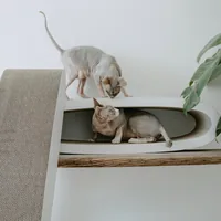 District 70 Kratzmöbel Oval Office - Höhe: 24 cm - Anzahl Liegeplätze: 1 × - Detailfarbe: Hellbraun - Tierart: Katze - Produkttyp: Katzenmöbel