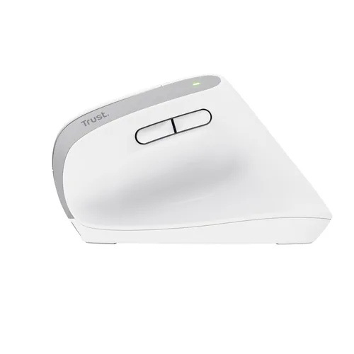 Trust Bayo+ mouse Office Right-hand RF Wireless + Bluetooth Optical 2400 DPI