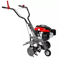 DEDRA DED8704 lawn scarifier 2700 W Black