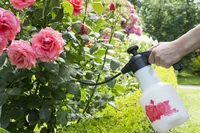 Birchmeier Rose Star 1.25 Hand garden sprayer 1.25 L