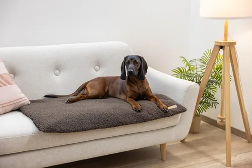 Kerbl Multifunktionsmatratze 72 x 50 x 5 cm - Produkttyp: Bett - Tierart: Hund - Detailfarbe: Braun - Breite: 72 cm - Länge: 50 cm