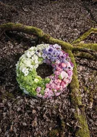Opiflor Steckschaumkranz Ringo 40 cm - Detailfarbe: Grün