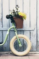 Puky Laufrad LR XL Classic City bike Red, Rose