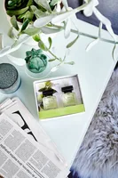 ipuro Duftstäbchen Lime Light 2 x 50 ml Set 100 ml - Volumen: 100 ml - Duft: Bergamotte - Verbene - Litsea Cubeba - Orange - Vanille - Zitrone - Jasmin - Maiglöckchen - Kümmel - Geranie