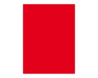 ELCO Office Color Papier A4 74616.92 80g, rot 100 Blatt