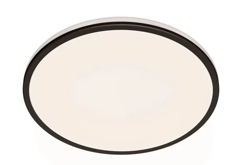 Philips Functional Ozziet Ceiling Light 22 W