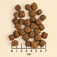 Wolfsblut Trockenfutter Dog Black Bird Adult, 2 kg - Tierbedürfnis: Kein besonderes Bedürfnis - Geschmacksrichtung: Geflügel - Zertifikate: Keine Zertifizierung - Fleischsorte: Truthahn - Packungsgrösse: 2 kg - Futtereigenschaft: Getreidefrei - Ohne künst
