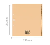 BIELLA Kartonregister A4 19443100U braun 1-31