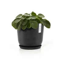 Ecopots Unterteller Rund 21, Dunkelgrau - Detailfarbe: Dunkelgrau - Material: Recycling-Kunststoff