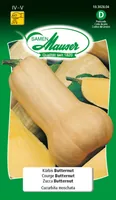 Samen Mauser 10302804 vegetable seed Pumpkin