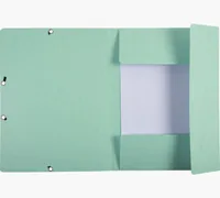 Exacompta 55533E folder Cardboard Green A4