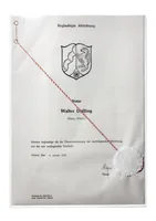 Durable 213119 sheet protector 210 x 297 mm (A4) Polypropylene (PP) 1 pc(s)