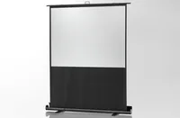 Celexon Mobile Leinwand Ultramobil Pro Plus 174x98 cm 16:9 - Leinwandtyp: Mobile-Leinwand - Bildbreite: 174 cm - Bildhöhe: 98 cm - Format: 16:9 - Gewicht: 12.5 kg - Fernbedienung: Nein