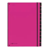 Pagna Ordnungsmappe A4 Trend, Pink, 12 Fächer - Typ: Ordnungsmappe - Ausstattung: Schaulöcher - Taben - Gummiband - Detailfarbe: Pink - Material: Karton