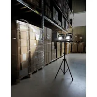 Ansmann FL30W Black LED 30 W