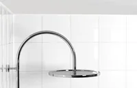 Sanitärsilicon DSSA AN 310ml anthrazit (anthrazit)
