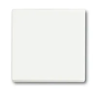 Busch-Jaeger 1751-0-3027 light switch Plastic White