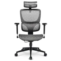 Bürostuhl OfficePal C40M