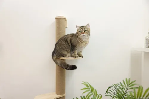 Kerbl Kratzsäule Timber 127 cm - Höhe: 127 cm - Anzahl Liegeplätze: 2 × - Detailfarbe: Hellbraun - Tierart: Katze - Produkttyp: Kletterstufe