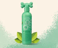 Pet Head Entfilzungsshampoo Furtastic, 300 ml - Produkttyp: Fellreinigung & Pflege - Tierart: Hund