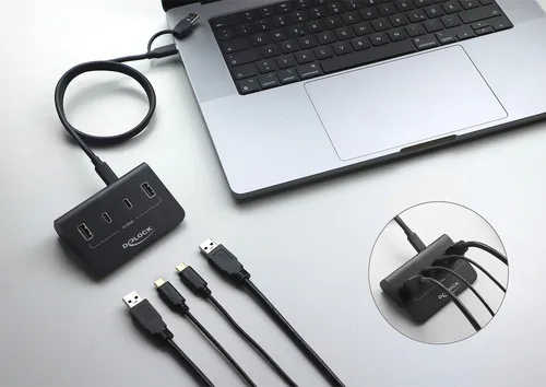 Delock USB 10 Gbps Hub mit 2 USB-C und 2 USB-A Ports