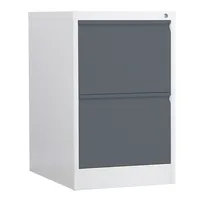 Phoenix Safe Co. FC1002GAK filing cabinet Steel Anthracite, White