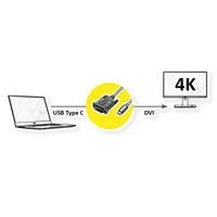 ROLINE 11045831 2 m DVI-D USB Type-C Black