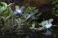 HEISSNER SMART LIGHT Spot, 4W, Warmweiss, Kunststoff - Produktart: Teichbeleuchtung Zubehör