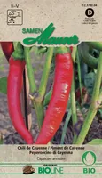 Samen Mauser 12378004 vegetable seed Pepper 25 pc(s)