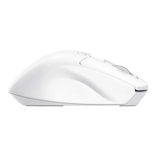 Trust Niven Maus Büro Rechts RF Wireless + Bluetooth 3200 DPI