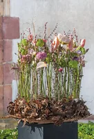 Opiflor Steckschaumkranz Ringo 40 cm - Detailfarbe: Grün