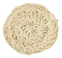 MSV 145872 Bath sponge/brush