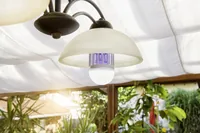 Windhager Lichtfalle-Leuchtmittel 1W/9W - Für Schädling: Fluginsekten - Anwendungsbereich: Outdoor - Produkttyp: Insektenfalle