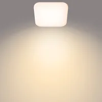 Philips Functional Mauve Ceiling Light 12 W Square