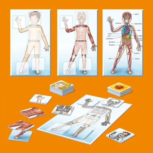 Kosmos Kinderspiel Was ist Was Junior: Mein Körper - Sprache: Deutsch - Kategorie: Quiz- & Wissensspiel - Lernspiel - Altersempfehlung ab: 4 Jahren - Spieldauer: 15 min - Min. Anzahl Spieler: 2 - Max. Anzahl Spieler: 4