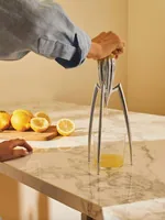 Alessi Juicy Salif spremiagrumi Alluminio