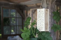 Windhager Insektenhotel Wildbienenholz - Tierart: Insekten - Produkttyp: Insektenhotel - Gartentier: Wildbiene