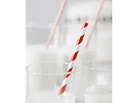 PartyDeco SPP1-007 disposable drinking straws 10 pc(s) Red, White