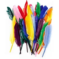 Creativ Company Federn 17 - 20 cm 250 Stück - Packungsgrösse: 250 Stück - Detailfarbe: Mehrfarbig