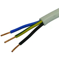 STEFFEN Installationskabel TT 3 x 1.5 mm², 25 m Weiss - Länge: 25 m - Detailfarbe: Weiss - Anzahl Leiter: 3 - Kabelummantelung: PVC - Kabeltyp: TT-Installationskabel - Leiterquerschnitt: 1.5 mm²