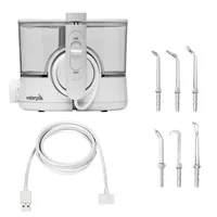 Waterpik WF-11 ION Cordless