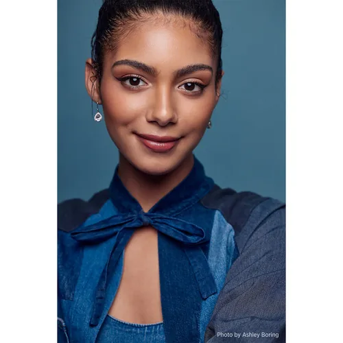 Westcott 853 softbox