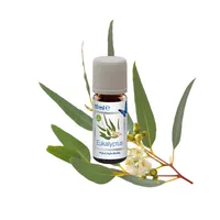 Venta Luftwäscher Duftöl Eukalyptus, 3 x 10 ml - Duft: Eukalyptus - Set: Nein