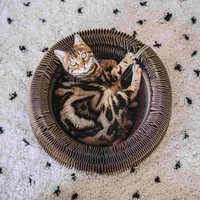 District 70 Katzenkorb Maze - Breite: 50 cm - Länge: 50 cm - Detailfarbe: Dunkelbraun - Tierart: Katze - Produkttyp: Spielzeug