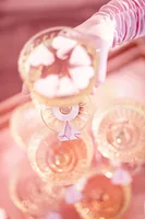 PartyDeco WSZ9 party decoration Drink tags