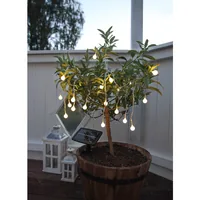 Star Trading Lichterkette Globini 475 cm, Weiss - Produkttyp: Lichterkette - Betriebsart: Solarbetrieb - Set-Typ: Starterset - Fernbedienung: Nein - Smart Home: Nicht kompatibel - Lichtfarbe: Warmweiss (WW)