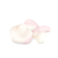 Red Band Kaubonbon Süsse Pilze 875 g - Produkttyp: Gummibonbons - Nährwertangabe pro: 100 g - Energiegehalt (in kj): 1500 KJ - Energiegehalt (in kcal): 350 Kcal - Fett: 0.3 g - Gesättigte Fettsäuren: 0.3 g