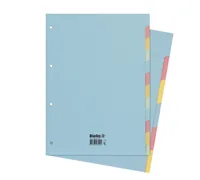 BIELLA Kartonregister A4 46044600U pastell 6-teilig
